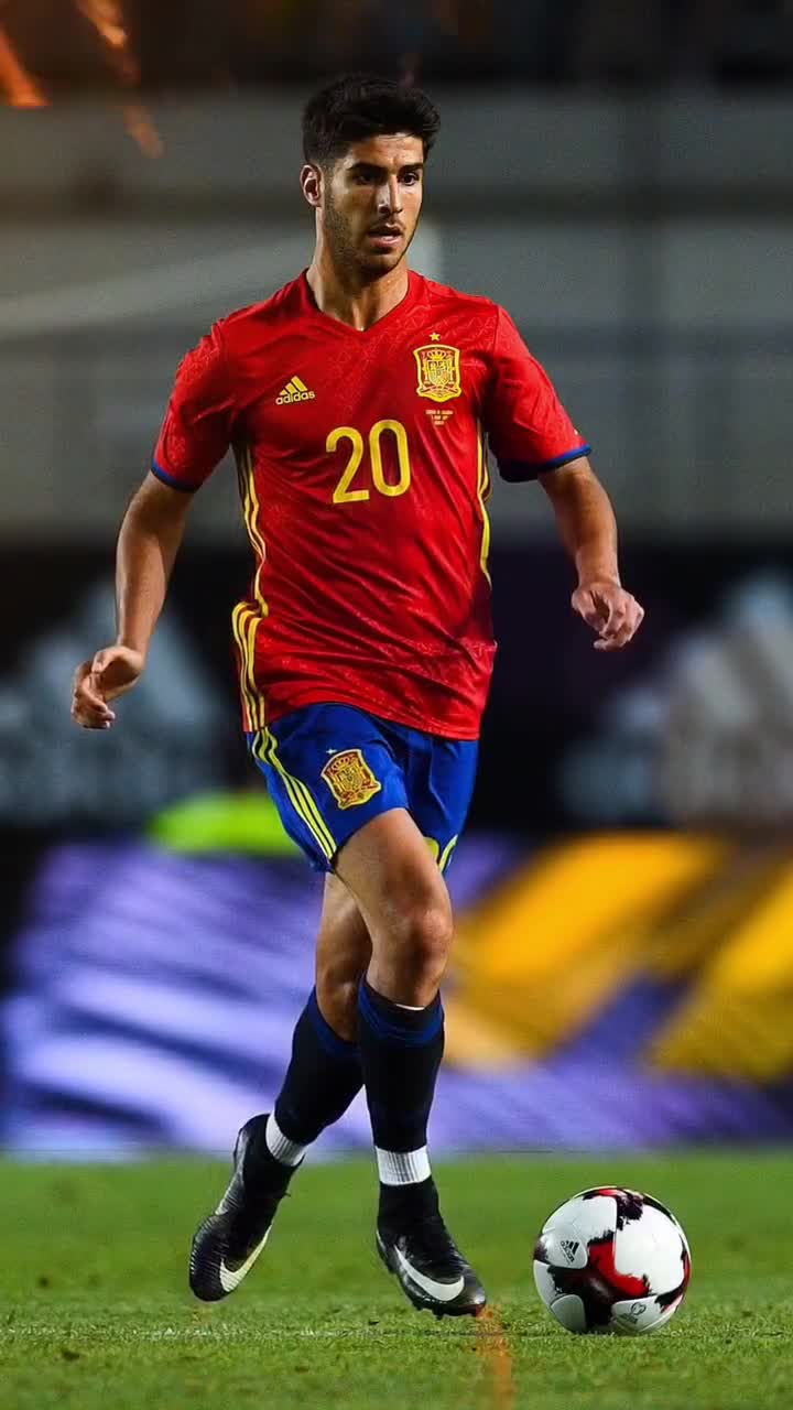 林诗栋无缘男单决赛